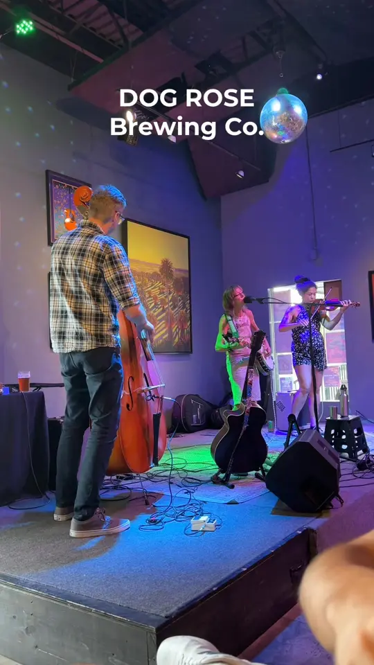 Dog Rose Brewing Co. in St. Augustine showing handcrafted ales, lagers, stouts, boutique wines, seltzers, live music, local art, shuffleboard, darts, food bites, video by Visit St.Augustine on Facebook