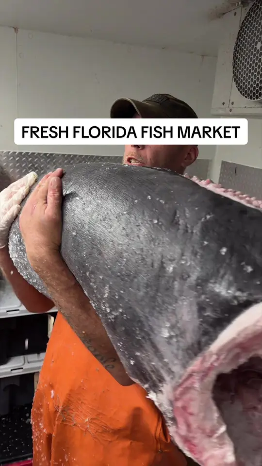 Dolphin Bar and Shrimp House in Jensen Beach showing seafood, fresh fish market, shrimp, lobster, video by mikeiseating on TikTok
