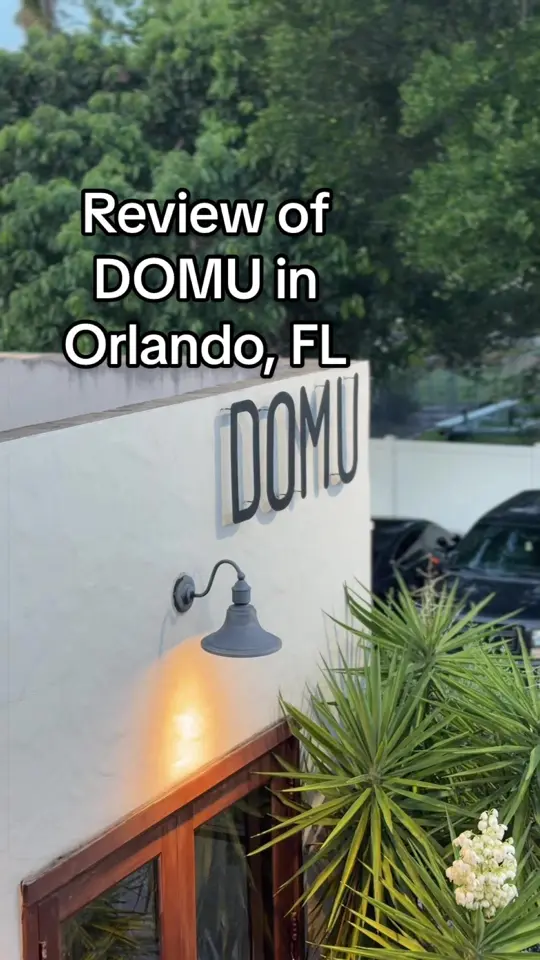 DOMU - Dr. Phillips in Orlando showing review, ramen, video by stephintothemagic on TikTok