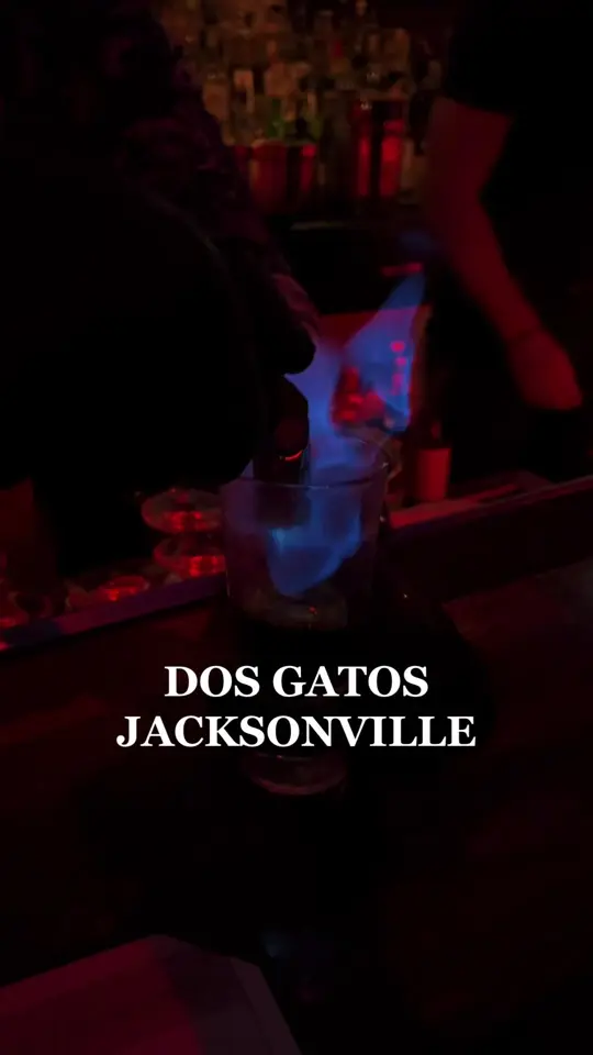 Dos Gatos Jacksonville in Florida showing drinks, cocktails, video by grubgod_ on TikTok