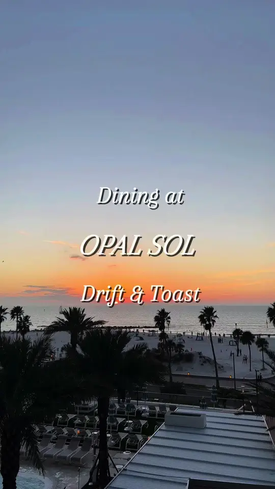  in Florida showing dinner, breakfast, video by gallivantgal on TikTok