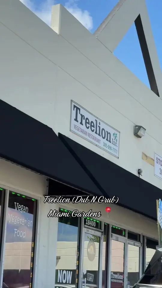  in Florida showing jamaican food, treelion, video by k8eatz on TikTok