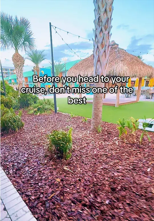 Duck Dive Bar and Grille Cocoa Beach on TikTok, video by niviasenchantedescapes