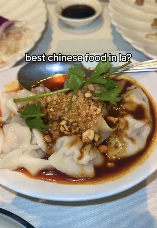 Dumpling House in Duluth showing food review, chinese food, dumpling house, video by cabreranali on TikTok