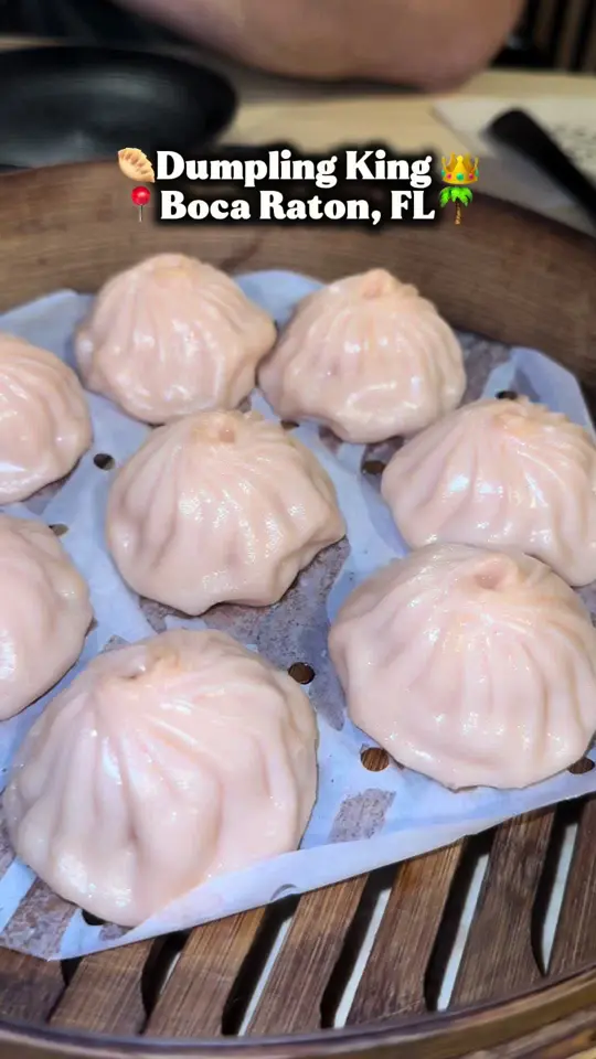 Dumpling King (Coral Springs) in Coral Springs showing review, dumplings, video by tableforava on TikTok