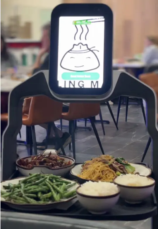 Dumpling Master in Snellville showing review, dumplings, video by averycooksgoodfood on TikTok