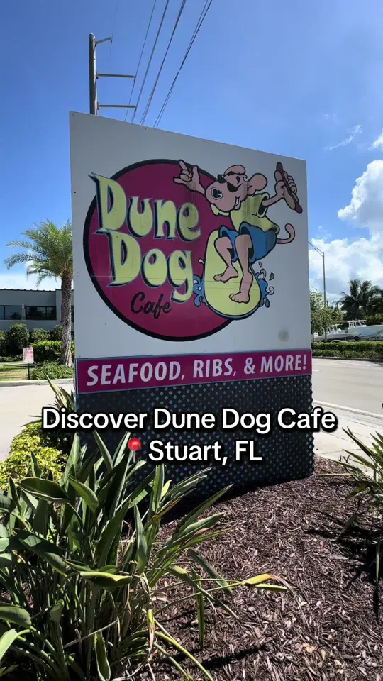 Dune Dog Cafe in Jupiter showing review, visit, hot dogs, seafood platters, beachy bites, video by livinginportsaintlucie on TikTok