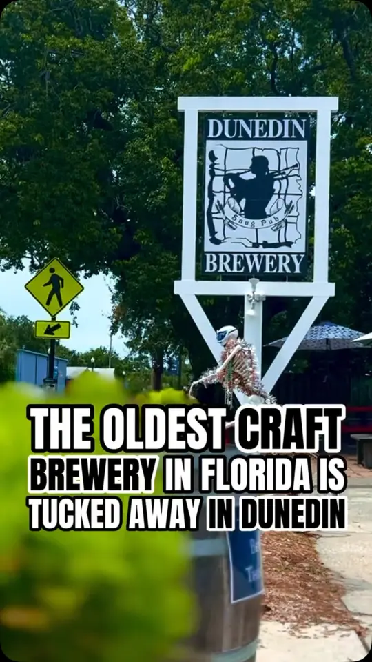 Dunedin Brewery in Dunedin showing craft beer, red head red ale, food, wings, food, buffalo cauliflower, live music, video by Tampa Bay is Awesome on Facebook