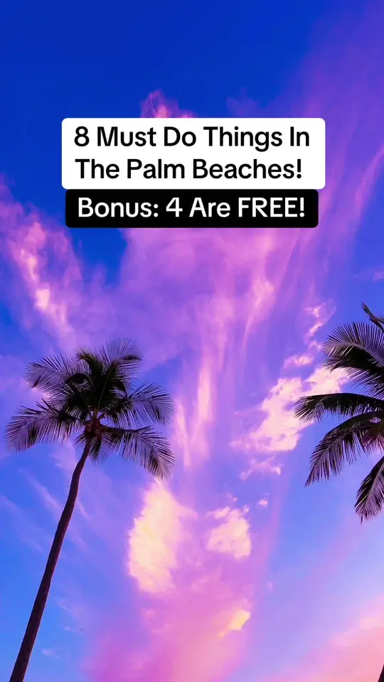 E.R. Bradley's Saloon in West Palm Beach showing sports, football game, video by thefloridaqueenie_ on TikTok