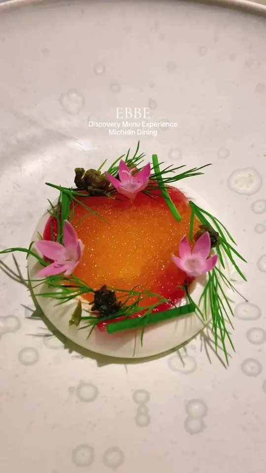  in Florida showing fine dining, tasting menu, vendance caviar cultured cream cress, white trout cavier elderflower, detroit red black currant sorrel, pheasant black apples chanter, video by adventuresaboutandabroad on TikTok