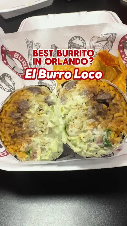 El Burro Loco in Orlando showing review, visit, burrito, classic burro loco burrito, quesabirria, classic loco fries, video by sunshineandkeylimeblog on TikTok