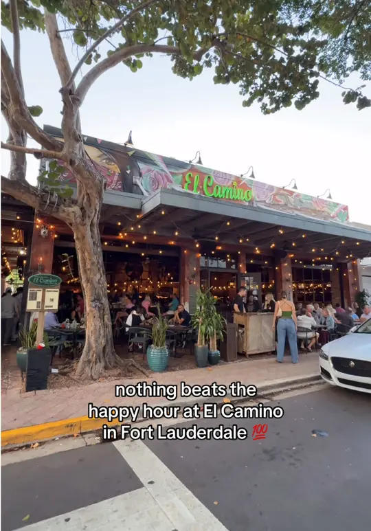 El Camino in Fort Lauderdale showing happy hour, bar, dining room, video by thebrowardscene on TikTok