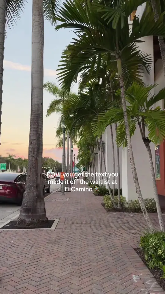 El Camino in West Palm Beach showing happy hour, el camino, video by lydbow_ on TikTok