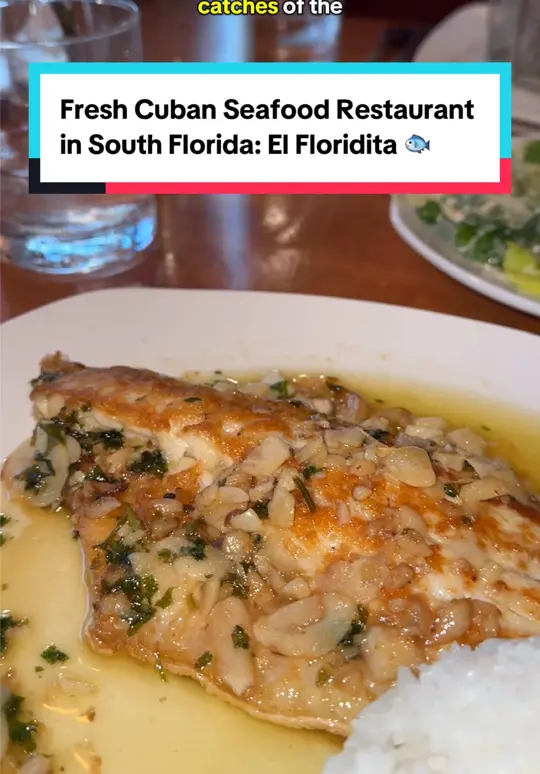 El Floridita Seafood Restaurant - Coral Way in Miami showing cocktail, lychee martini, food, fresh catch of the day, video by lattesnluggage on TikTok