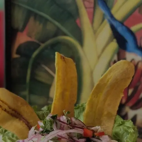 El Novillo Restaurant in Miami Lakes showing restaurant, atmosphere, video by El Novillo Restaurant Miami Lakes on Facebook