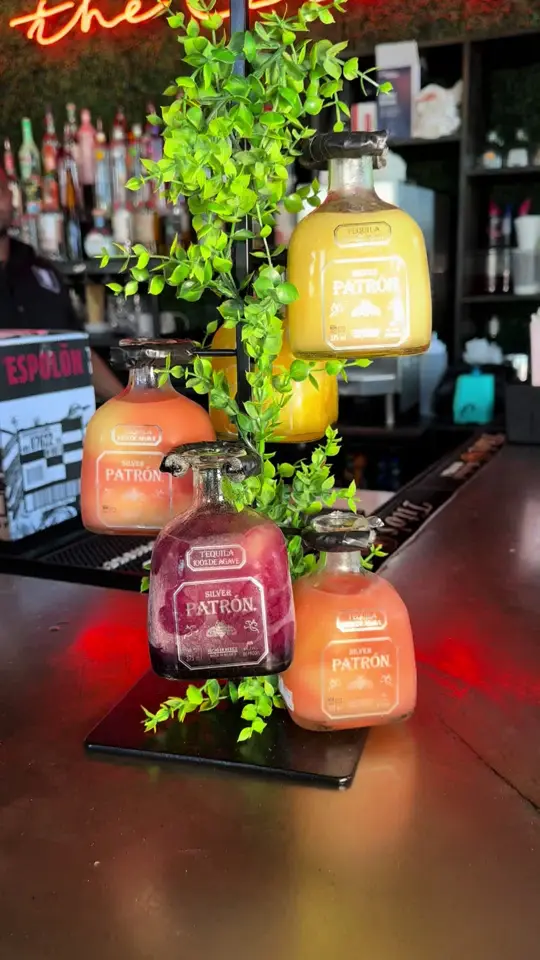 El Patron Mexican Grill - Pensacola, FL on TikTok, video by morrowsnola