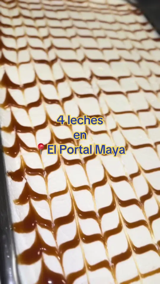  in Florida showing food, pollo chuco, pollo con tajadas, baleadas, birria tacos, video by elportalmaya.restaurante on TikTok