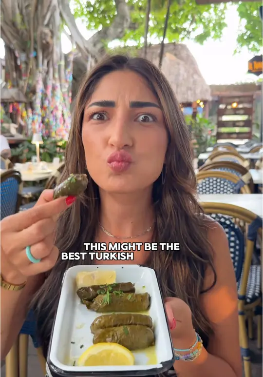  in Florida showing review, turkish food, kebabs, atmosphere, video by hatis.explores on TikTok