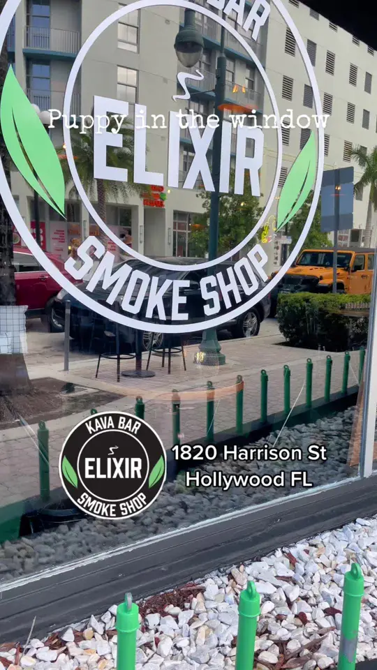 Elixir Kava Bar on TikTok, video by elixirkavabar