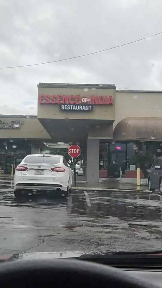 Essence Of India in Tallahassee showing indian food, review, video by vanityconstanceworld on TikTok