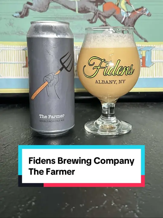 Fidens Brewing Company in Albany showing beer, craft beer, neipa, hazy ipa, review, brewery visit, video by a_cold_one_with_rob on TikTok