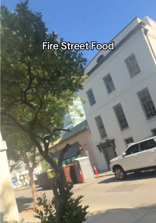 Fire Street Food in Savannah showing food review, visit, video by sho.talks on TikTok