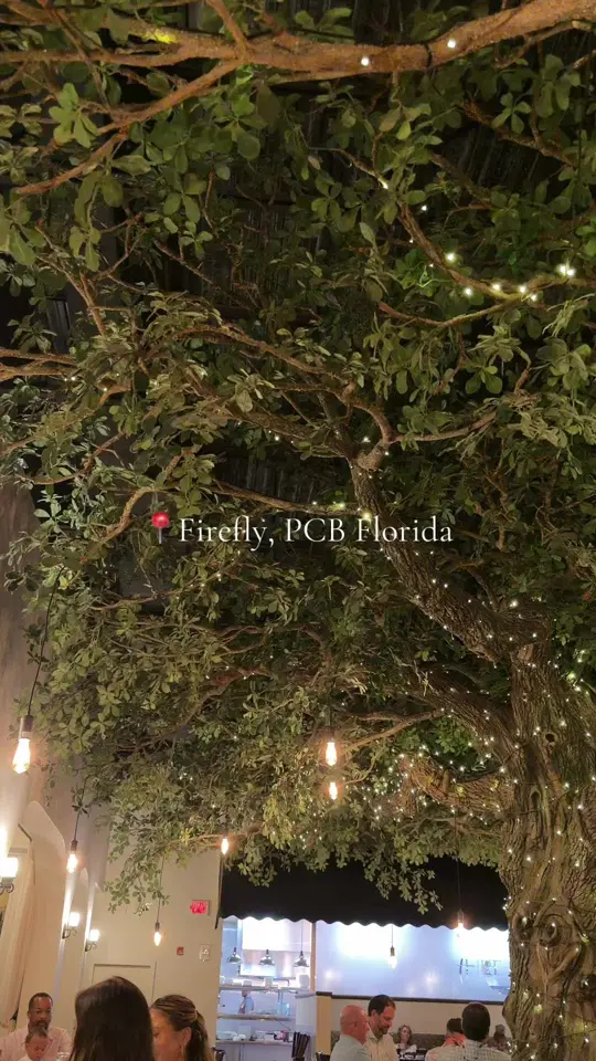 Firefly in Panama City Beach showing review, visit, dinner, dessert, drinks, video by macie.db on TikTok