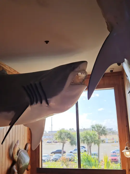 Fishlips Waterfront Bar & Grill in Port Canaveral showing brunch, restaurant visit, video by adventurouslivv on TikTok