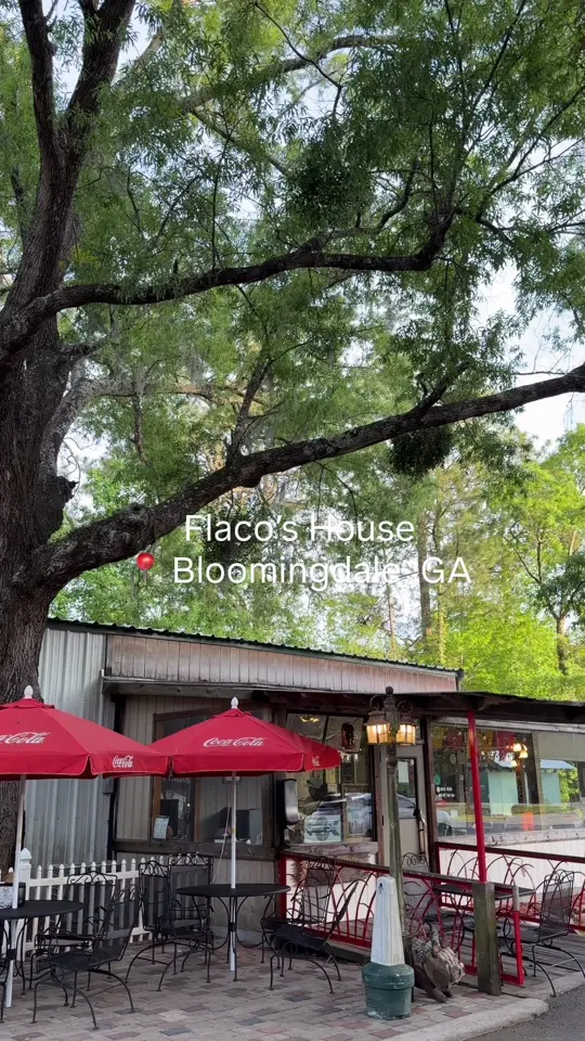 Flacos House in Pooler showing queso & chips, street corn, beef chimichangas with rice & beans, taco plate: chorizo, chicken and carnitas, spicy salsa, video by the.savannah.life on TikTok