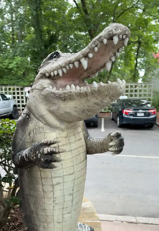 Flatlands Bourbon and Bayou in Alpharetta showing review, food, video by bigbacksofatl on TikTok