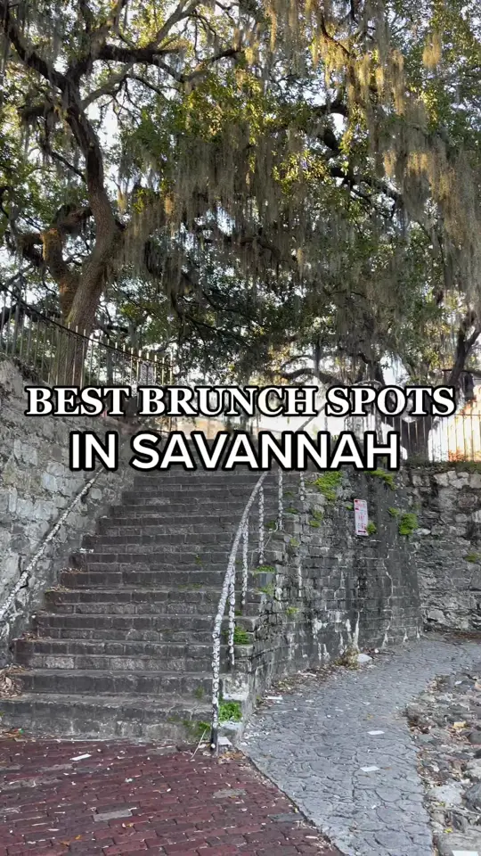 Fleeting in Savannah showing brunch, coffee, food, video by sugaredtravels on TikTok