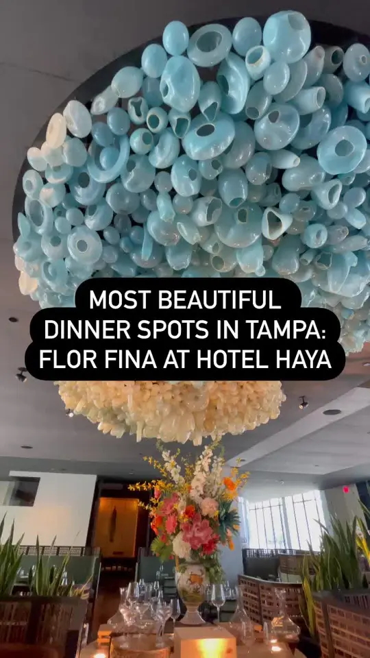 Flor Fina in Tampa showing paella, seafood, ceviche, video by thatssotampa on TikTok