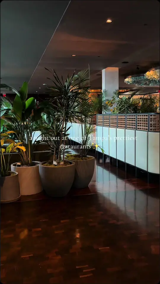 Flor Fina in Tampa showing atmosphere, visit, video by kaylaladedra on TikTok