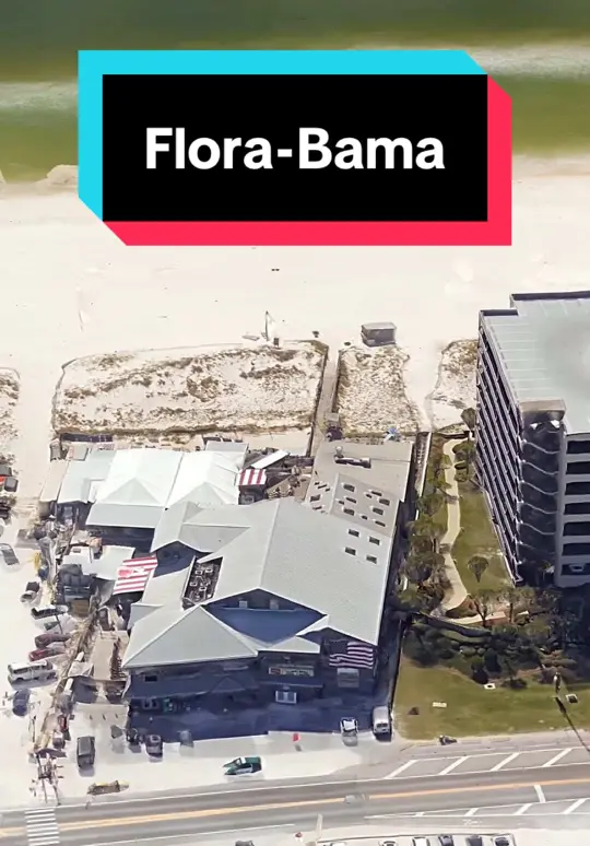 Flora Bama Ole River Grill in Pensacola showing bar, atmosphere, video by explorewithmedaily on TikTok
