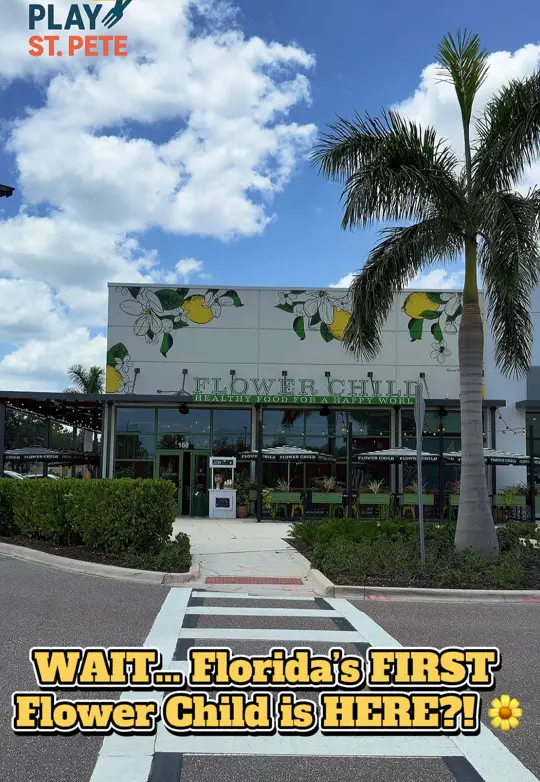 Flower Child in Sarasota showing restaurant visit, grass-fed steak, cauliflower risotto, sweet corn & quinoa, video by eatplaystpete on TikTok