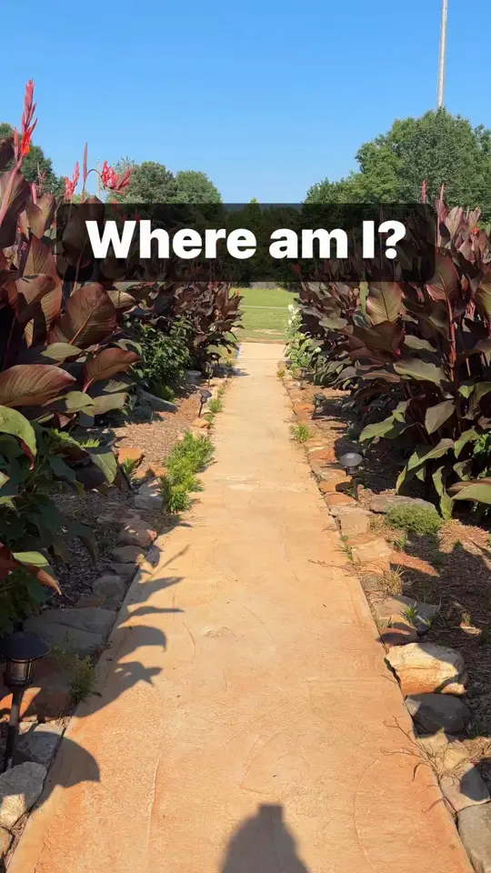 Flowery Branch Winery and Vineyard in Flowery Branch showing wine, networking event, food, video by Freda Kalina on Facebook
