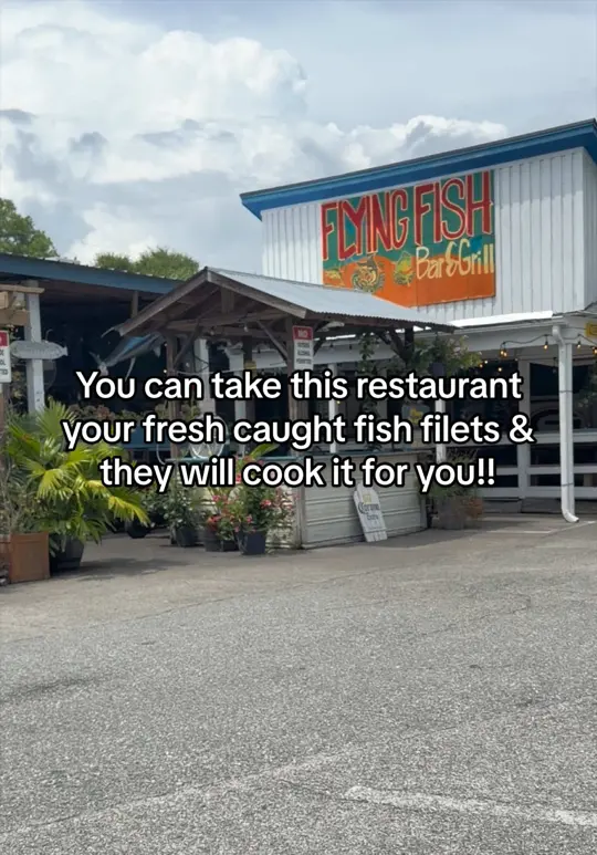 Flying Fish Bar & Grill in Savannah showing casual seafood restaurant, fried oysters, mahi, crab legs, pork chops, sandwiches, live music, video by journeysandhashtags on TikTok
