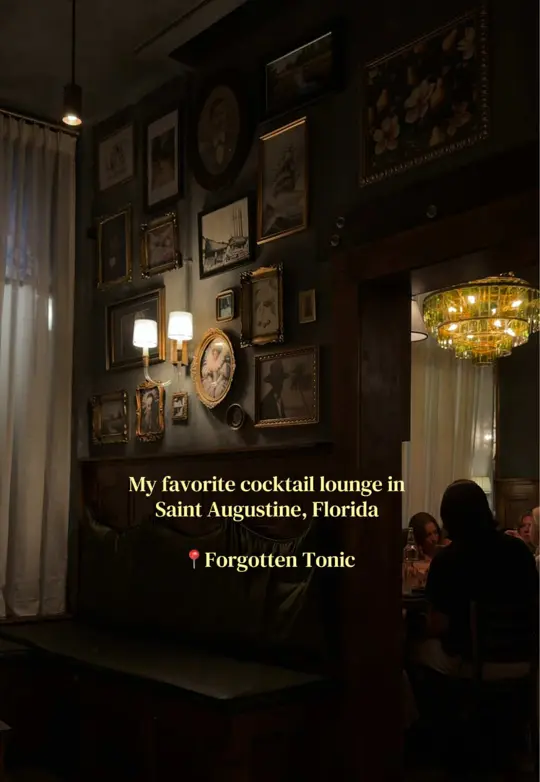 Forgotten Tonic in St. Augustine showing review, atmosphere, drink menu, food, video by shelbyljohnsson on TikTok