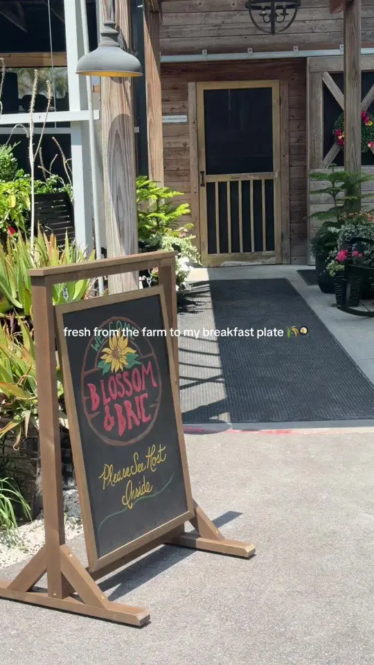Fort Myers Brunch on TikTok, video by haley.jacobs