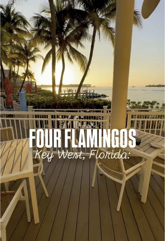 ​Four Flamingos, A Richard Blais Key West Kitchen on TikTok, video by thingstodosouthflorida