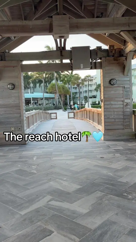 Four Marlins Oceanfront Dining in Key West showing restaurant, ocean views, dining, video by taylorethevlogger on TikTok