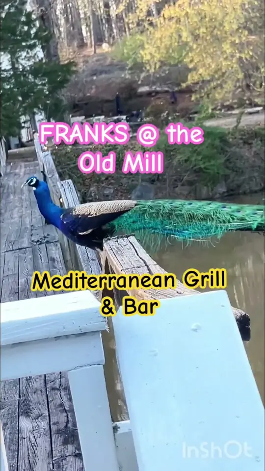 Franks @ the Old Mill Mediterranean Grill & Bar in Fayetteville showing restaurant, mediterranean grill, video by spicyladydiary on YouTube