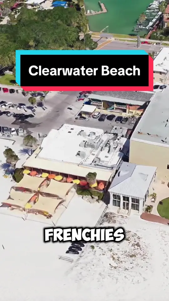 Frenchy's Rockaway Grill in Clearwater showing restaurant, seafood, clearwater beach, video by explorewithmedaily on TikTok