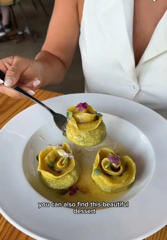 Fresca Trattoria in Stone Mountain showing review, award winning tiramisu dessert, chocolate pasta, italian style omakase, video by thecaroandtina on TikTok