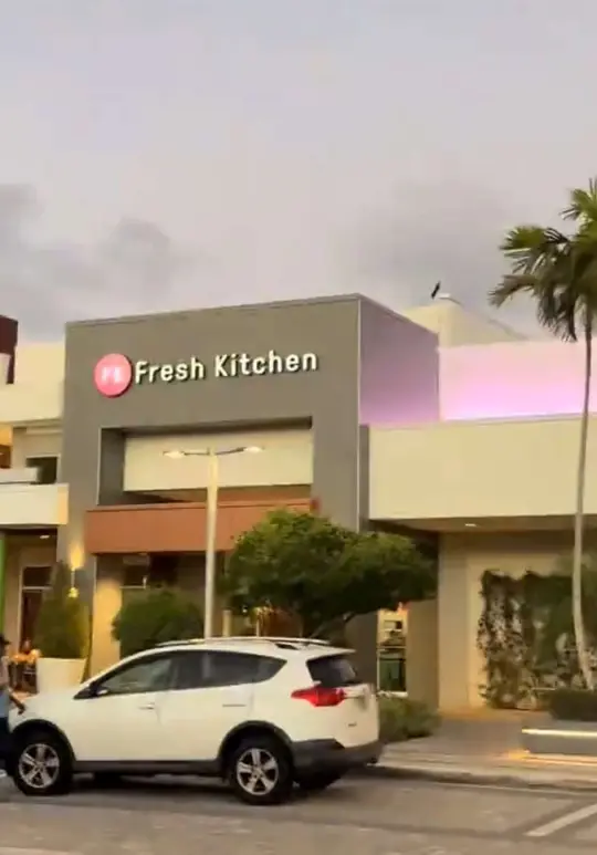 Fresh Kitchen Tampa in Florida showing visit, review, video by dylanaverysiegel on TikTok