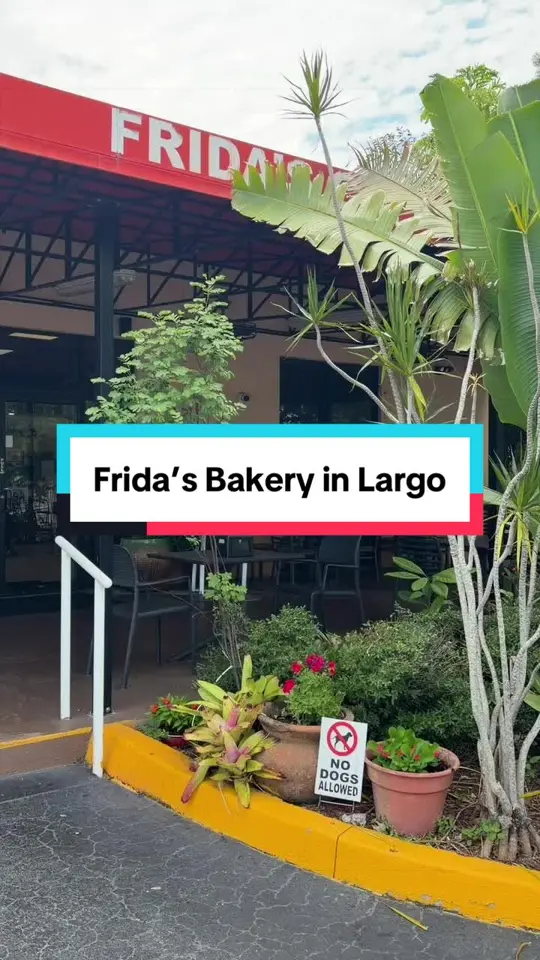 Frida's Cafe & Bakery in Largo showing glutenfree lunch, support small business, video by thelovelylyss on TikTok