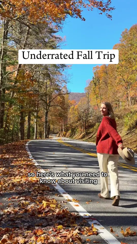 Frogtown Cellars in Dahlonega showing visit, frogtown cellars, video by amandamoniquebrown on TikTok