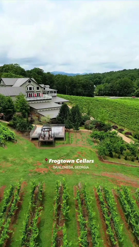 Frogtown Cellars in Dahlonega showing wine, food, smoked meats, cured meats, scratch-made dishes, video by discover.dahlonega on TikTok