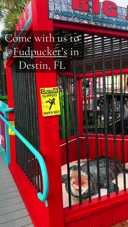 Fudpucker's Beachside Bar And Grill in Destin showing visit, family fun restaurant, video by faithdianec on TikTok