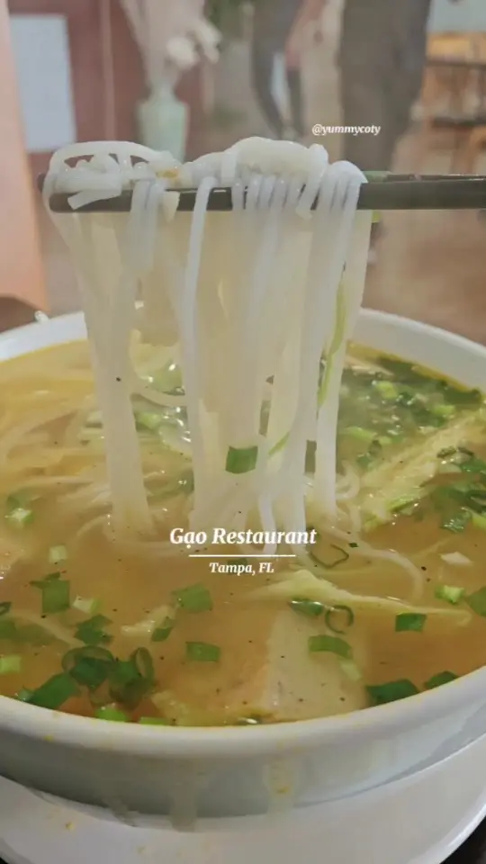 Gạo Restaurant in Tampa showing noodle soup, seafood broth, rice noodles, bún chả cá, chả giò, bánh canh chả cá, video by yummycoty on TikTok
